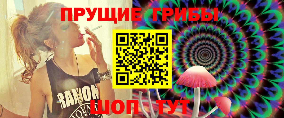 Псилоцибиновые грибы MAGIC MUSHROOMS  Вход с VPN  Новокубанск 
