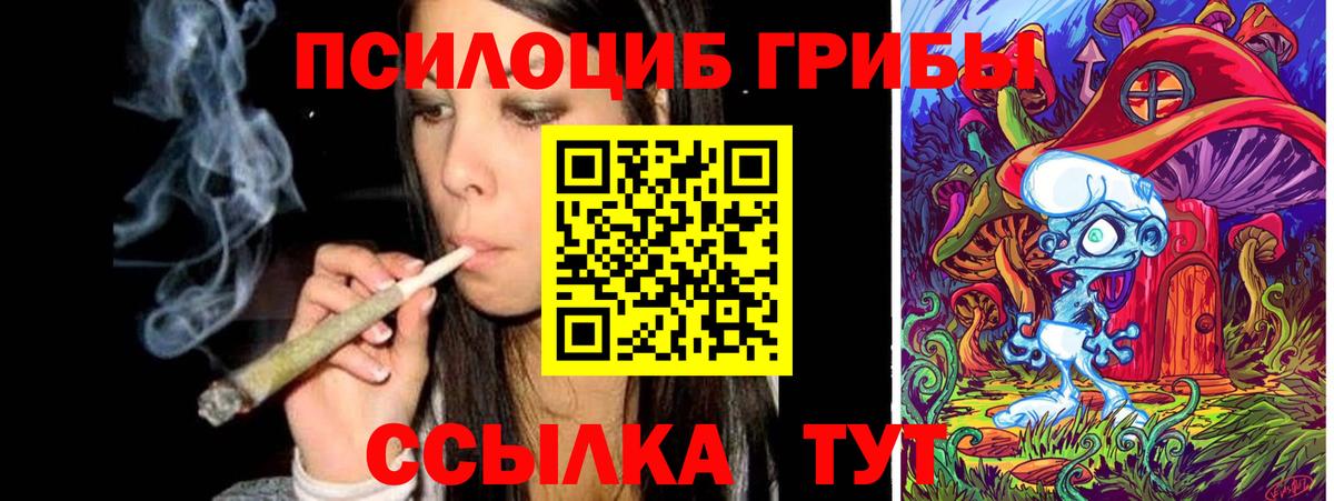 Галлюциногенные грибы MAGIC MUSHROOMS Новокубанск